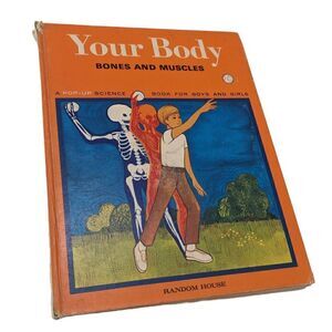 Vintage Your Body Bones And Muscles Random House‎ Science Pop Up Book